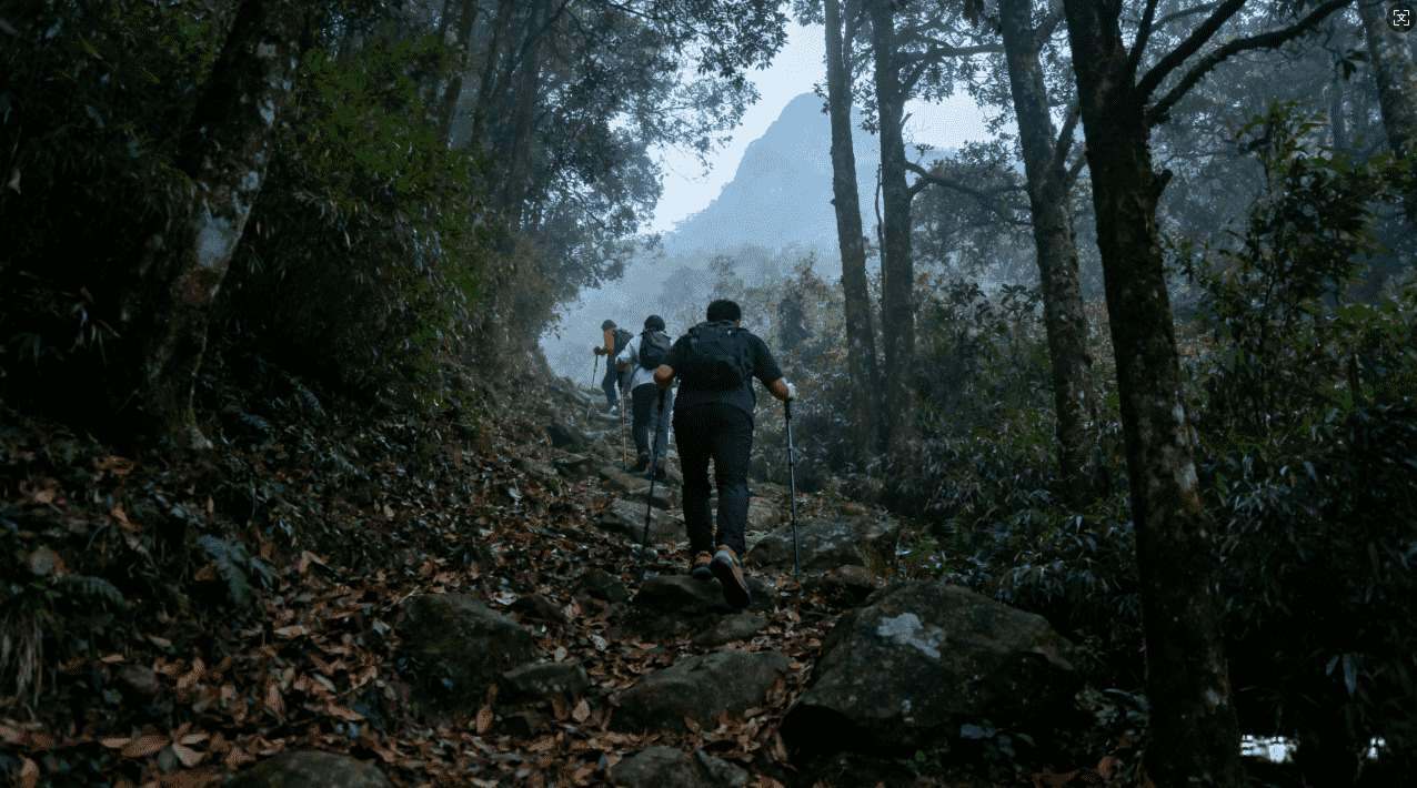 坚果加速器ⅤpN的安全性分析